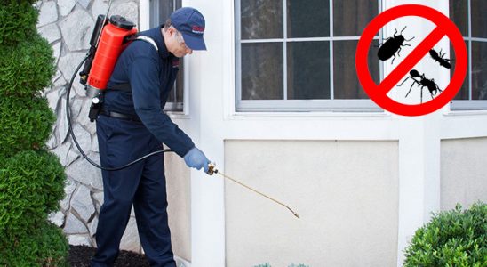 Orta Karınca İlaçlama böcek ilaçlama ve haşere kontrolü — ilaclama-tr.com